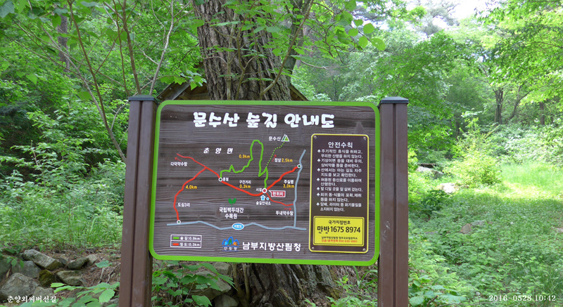 P1030596.jpg