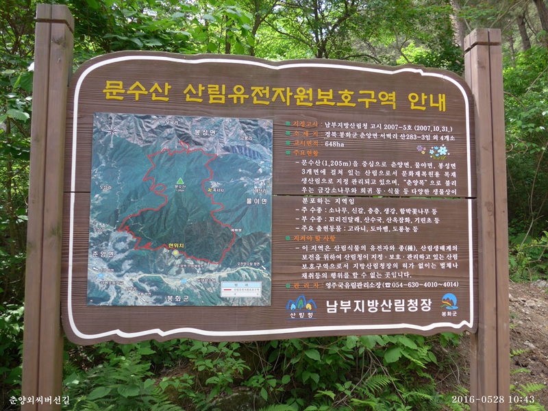 P1030597.jpg
