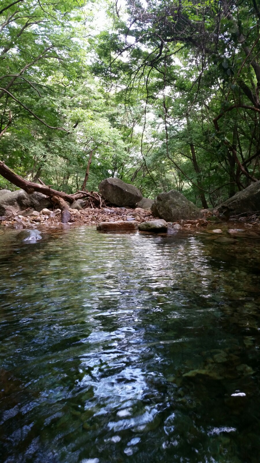 20160820_163619.jpg