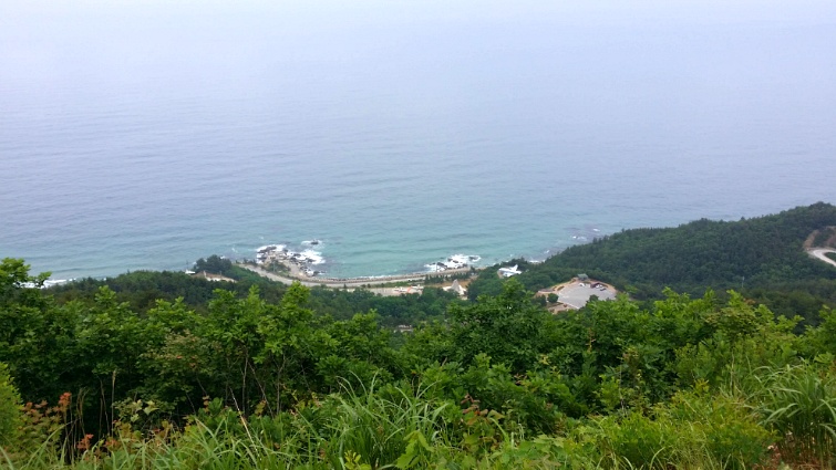 20150613_115127.jpg