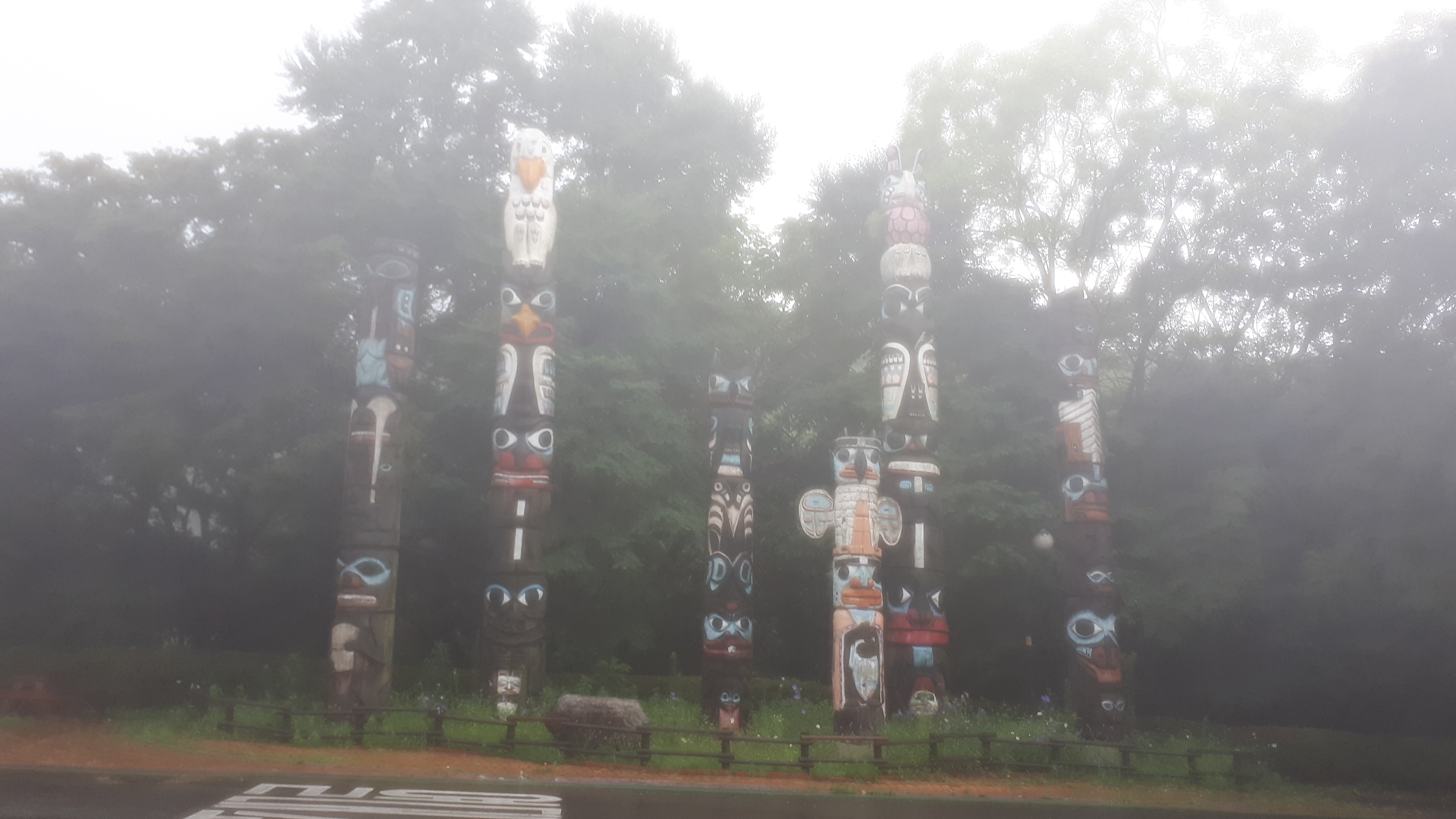 20190728_120824.jpg