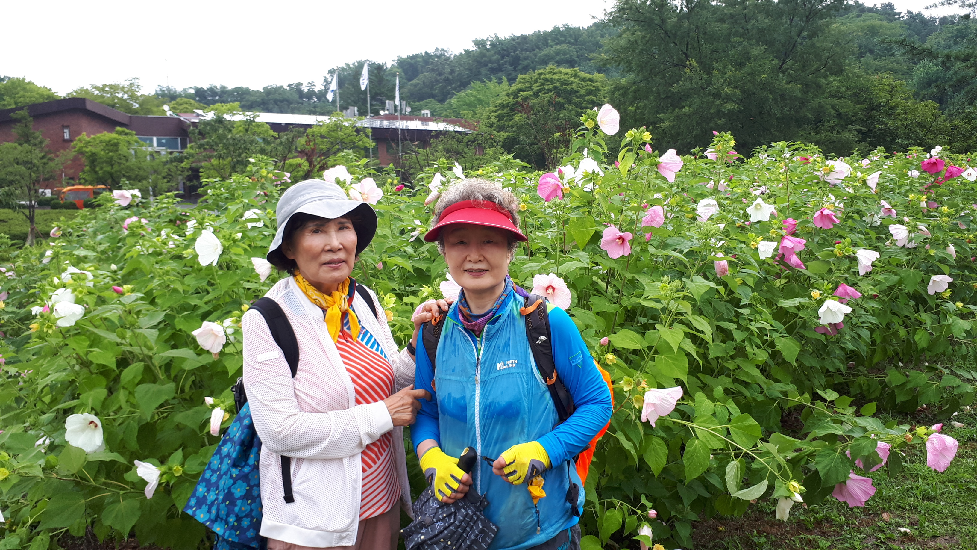 20190728_123742.jpg