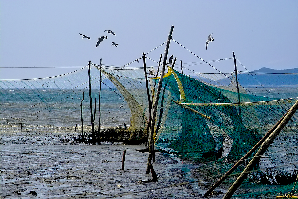 091216-3555-133net.jpg