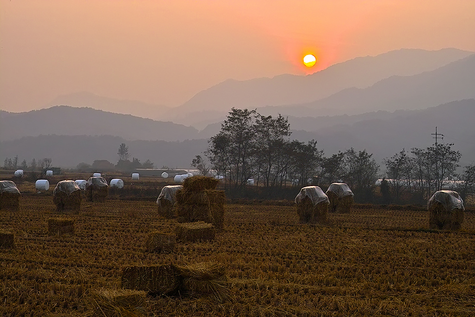 IMG14265-60sun.jpg
