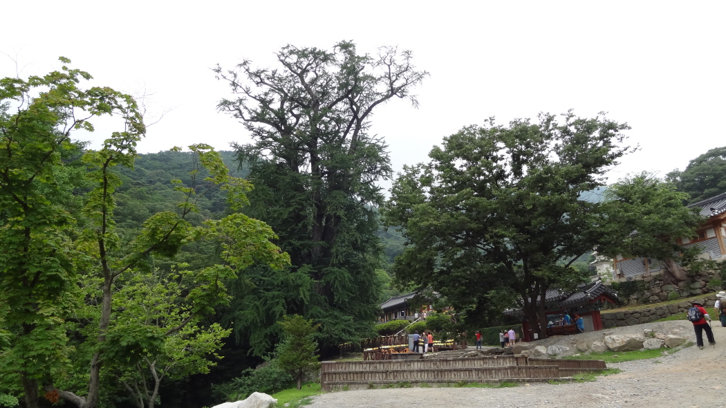 DSC03635.JPG