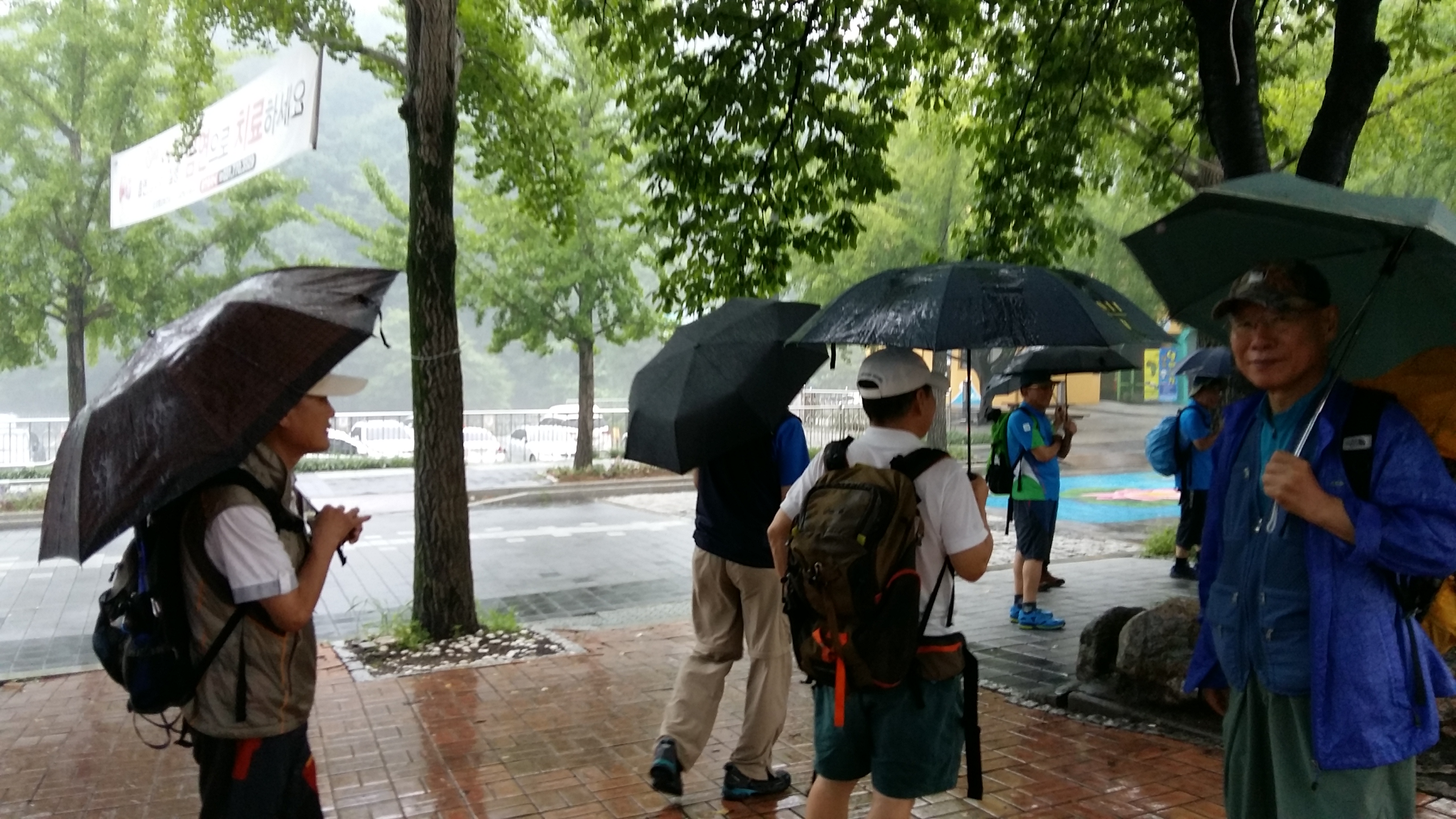 20170723_105649.jpg