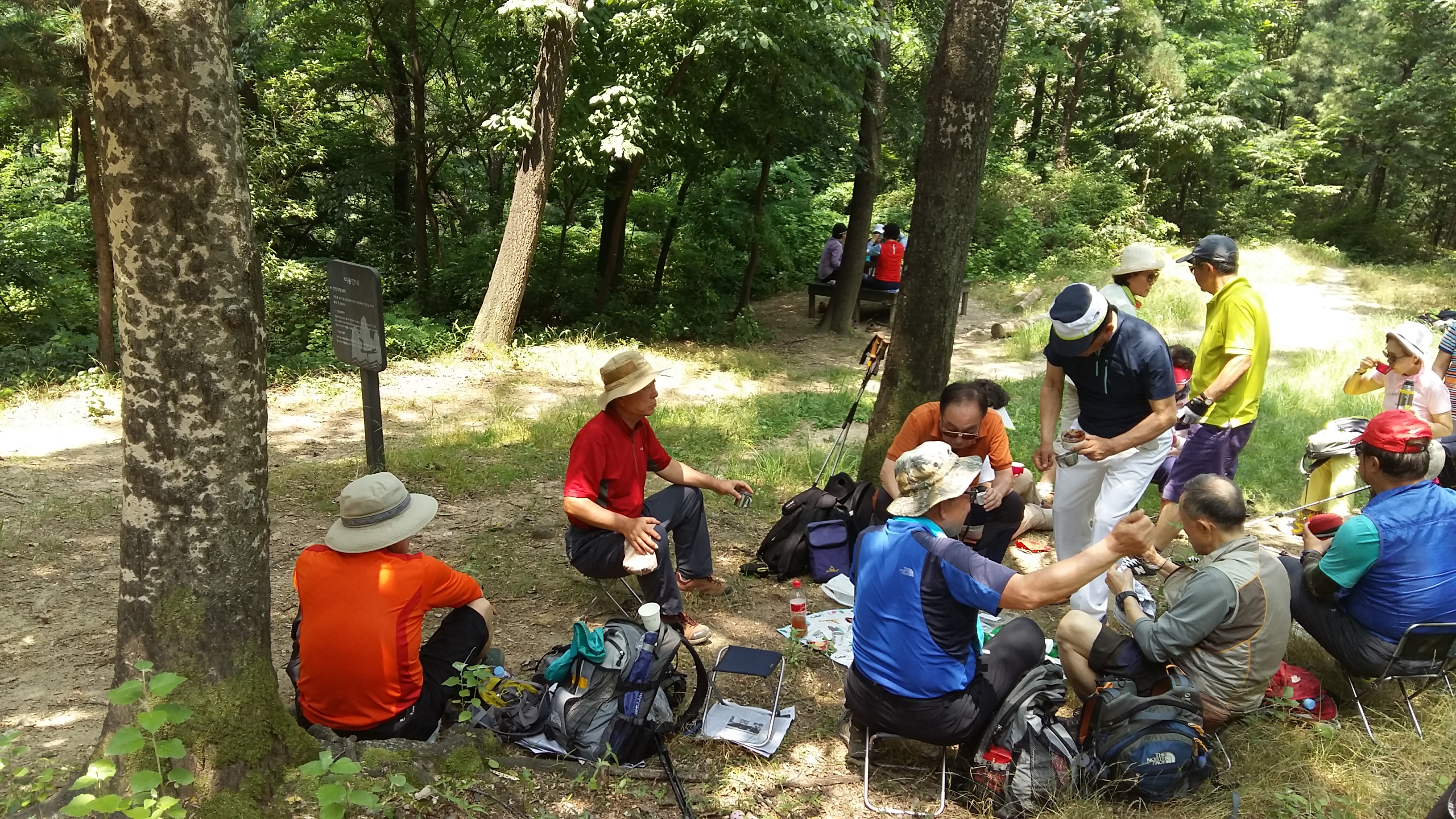 20180624_114716.jpg