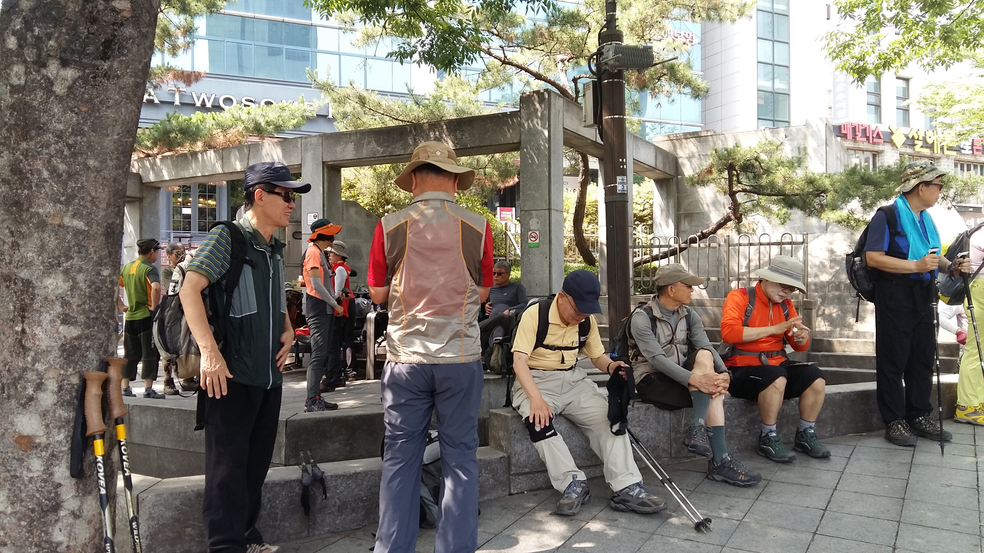 20180624_102946.jpg