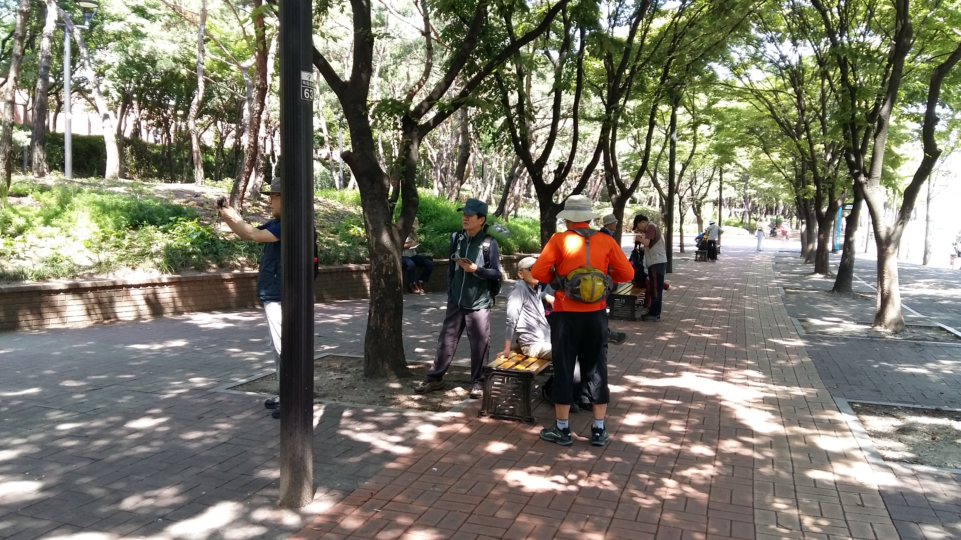 20190623_103412.jpg
