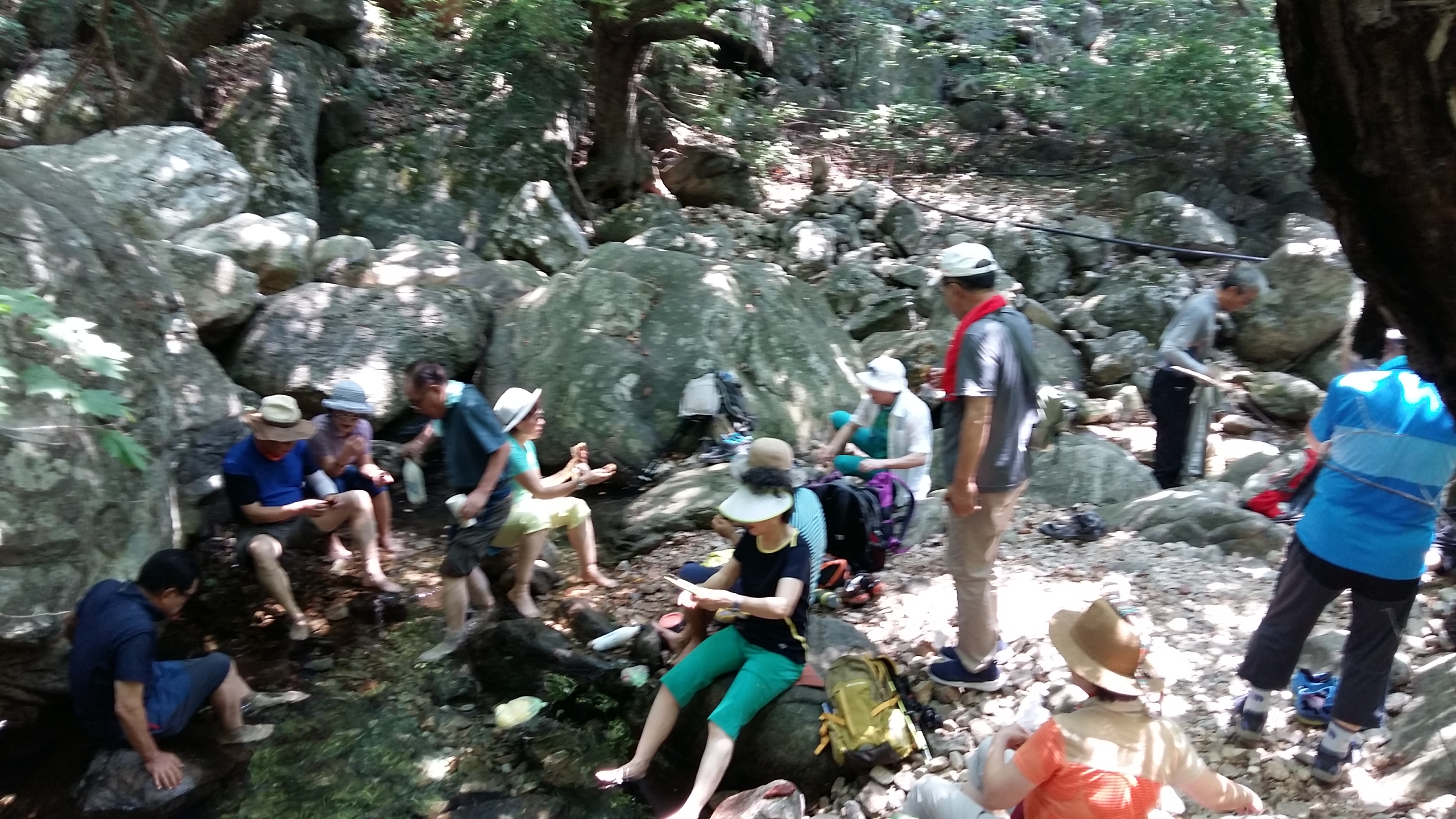 20180722_113620.jpg