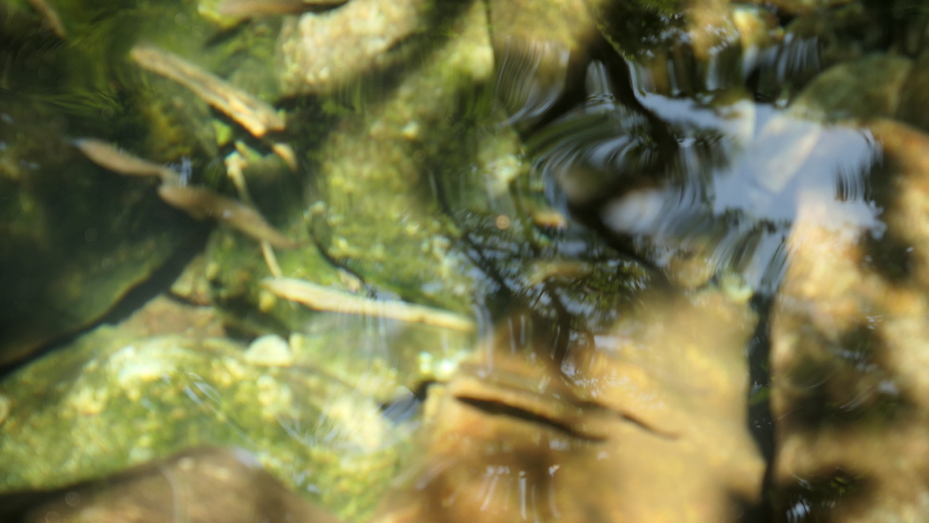 P1000045.jpg